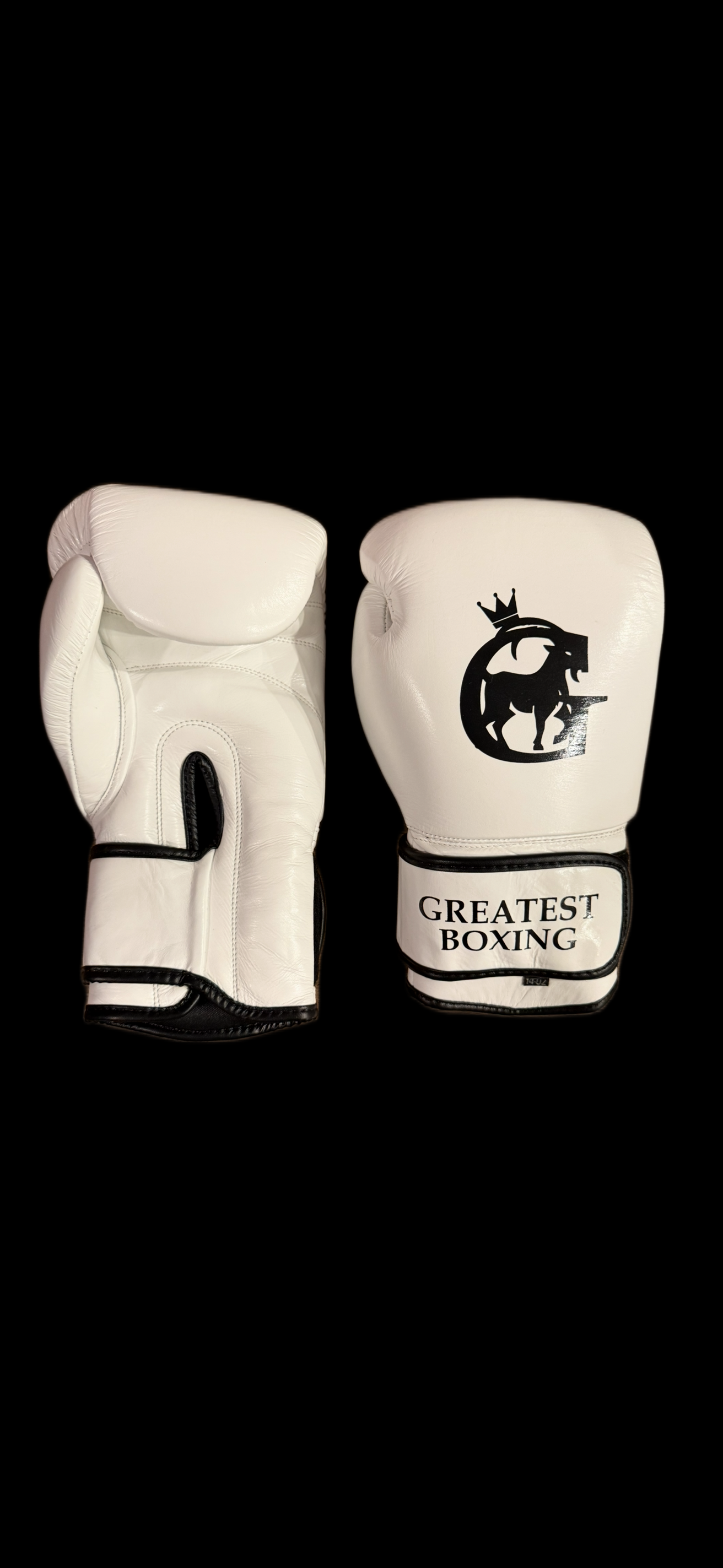 Greatest Boxing Gloves - Velcro